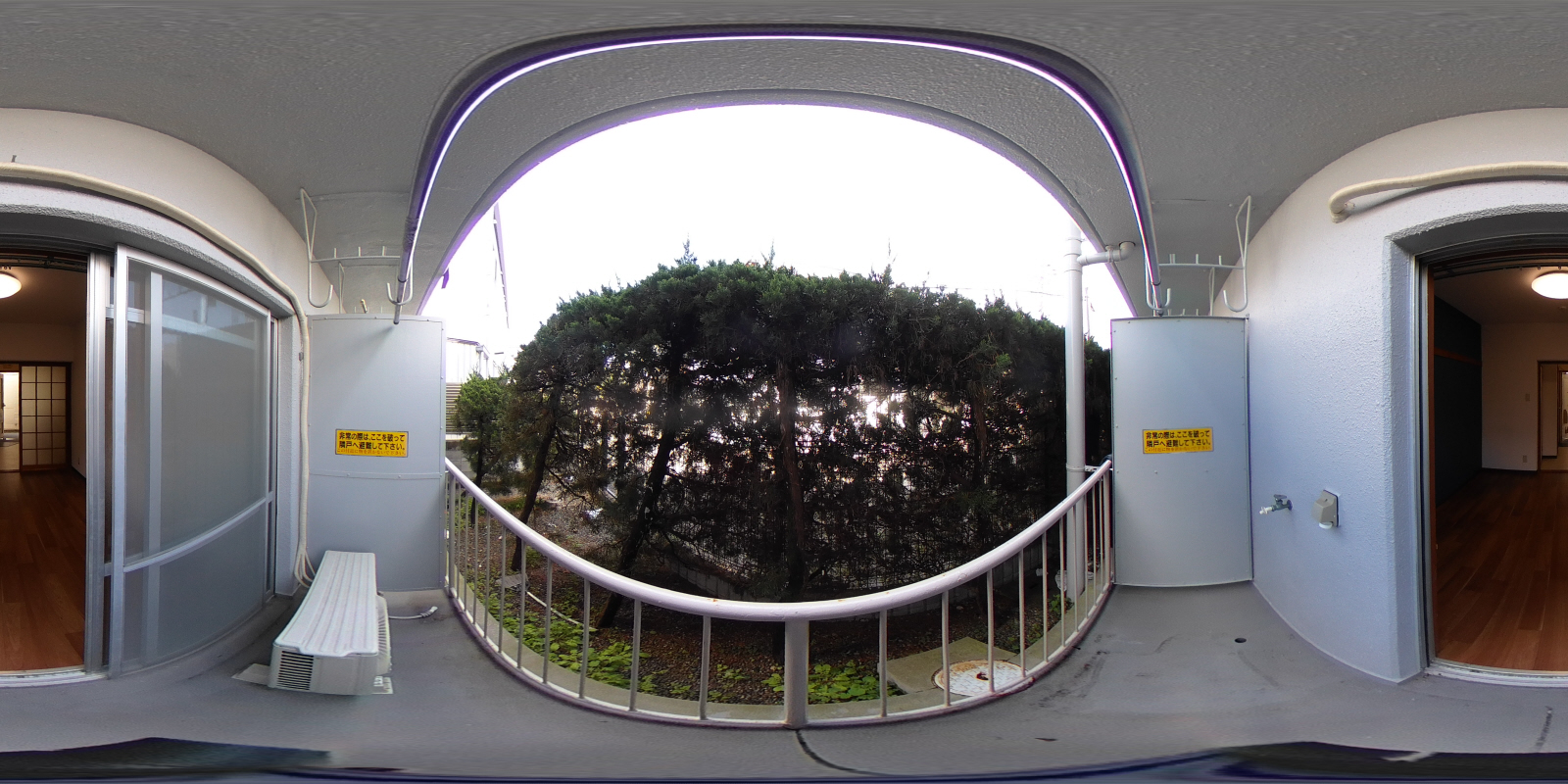 写真37