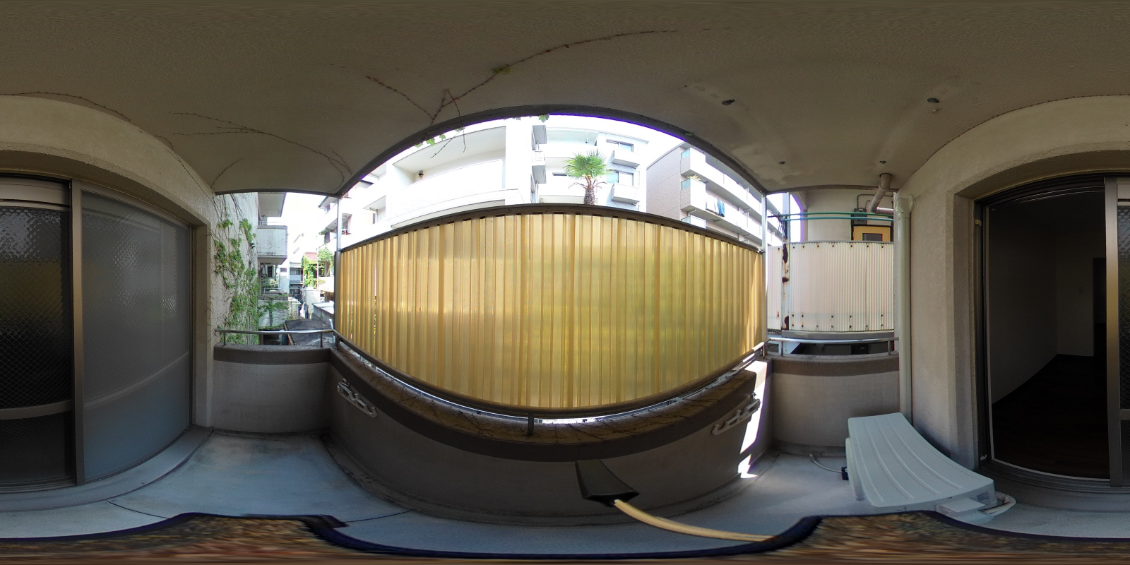 写真37